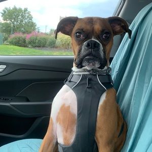 Meet your Posher, Wendy